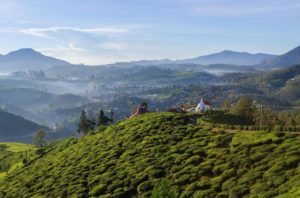 Daffodil'S Hotel Nuwara Eliya Exterior photo